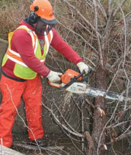 File:Main Page 3 Jan 10, 2012.jpg