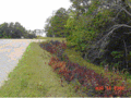 Thumbnail for version as of 15:42, 28 December 2007