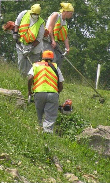 File:823 Grass Trimming.jpg