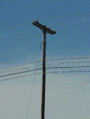 Thumbnail for version as of 14:14, 13 March 2007