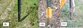 Thumbnail for version as of 08:40, 1 July 2013