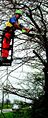 Thumbnail for version as of 14:53, 6 November 2007