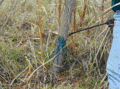 Thumbnail for version as of 15:41, 28 December 2007