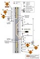 Thumbnail for version as of 15:21, 31 January 2011