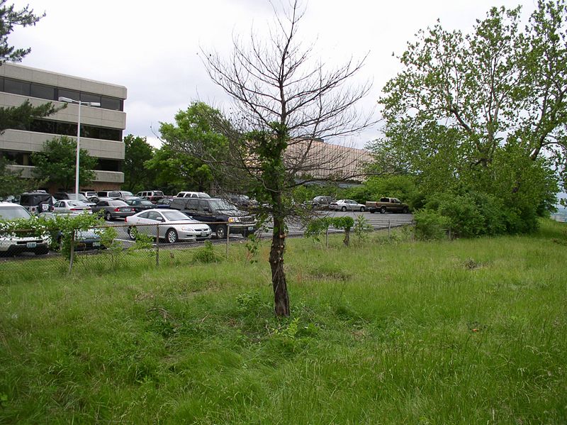File:822.10.1.jpg