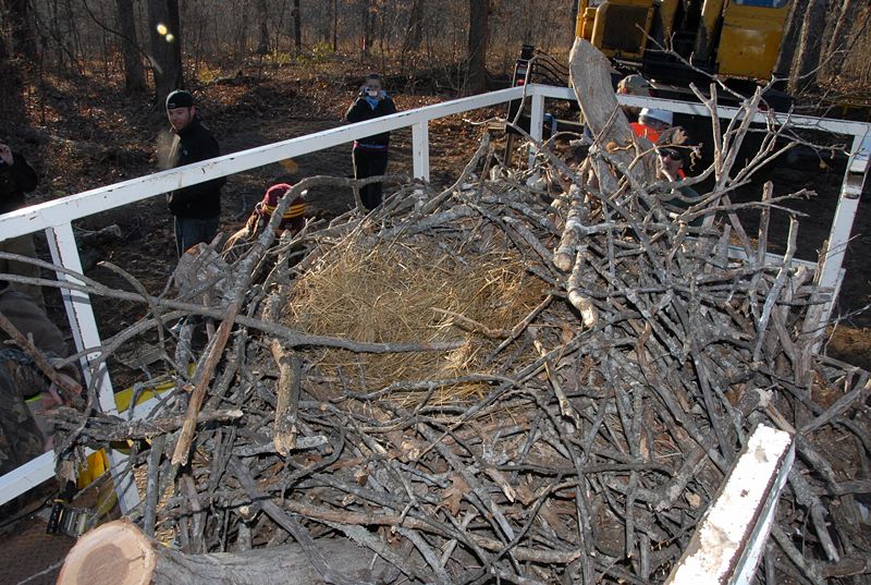 File:127.7 bald eagle nest3.jpg