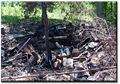 Thumbnail for version as of 11:05, 14 January 2010