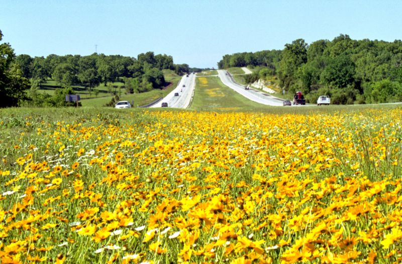 File:231.1 Photo1 Depressed Median.jpg