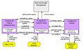 Thumbnail for version as of 11:20, 12 June 2008