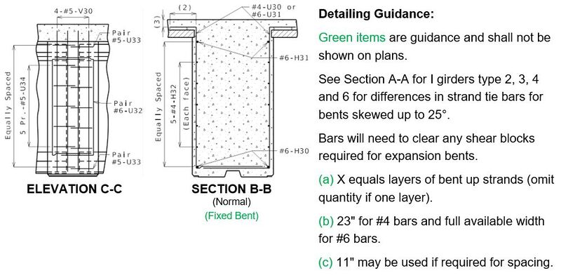File:751.22.3.7.2 BulbTee2.jpg