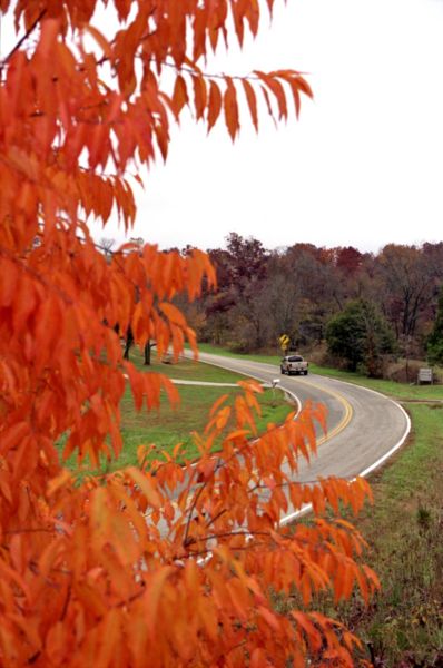 File:236 Photo1 Roadside.jpg