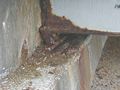 Thumbnail for version as of 09:28, 26 December 2007