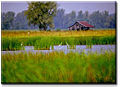 Thumbnail for version as of 11:27, 14 January 2010