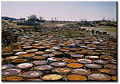 Thumbnail for version as of 11:04, 14 January 2010