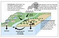Thumbnail for version as of 11:26, 14 January 2010
