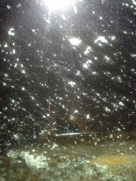 File:Main Page Dec 6, 2013.jpg