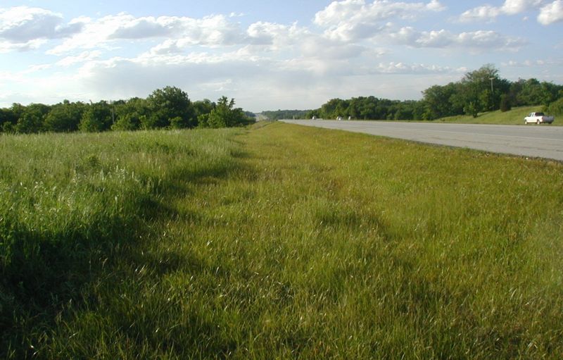 File:821 Herbicides and Roadsides.jpg