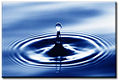 Thumbnail for version as of 11:06, 14 January 2010