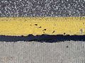 Thumbnail for version as of 16:09, 9 January 2008