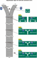 Thumbnail for version as of 10:51, 15 December 2006