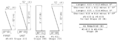 Thumbnail for version as of 11:43, 21 March 2024