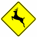 Thumbnail for version as of 15:07, 19 December 2006