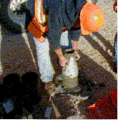 Thumbnail for version as of 08:11, 17 August 2007