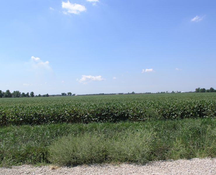 File:821.12 Agricultural.jpg