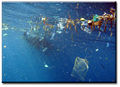 Thumbnail for version as of 11:07, 14 January 2010