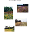 Thumbnail for version as of 14:23, 6 June 2007