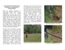 Thumbnail for version as of 13:43, 25 October 2006