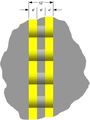 Thumbnail for version as of 10:46, 13 June 2007