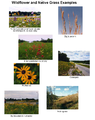 Thumbnail for version as of 14:23, 6 June 2007