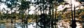 Thumbnail for version as of 09:24, 25 January 2007