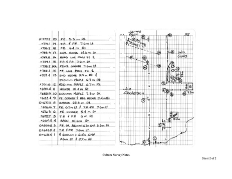 File:238.3 Culture Survey Notes.pdf